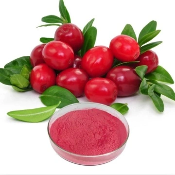 Lợi ích bột lingonberry tốt nhất
